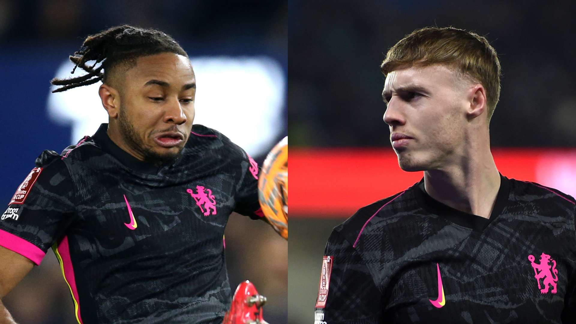 数球迷的目 数球迷的目